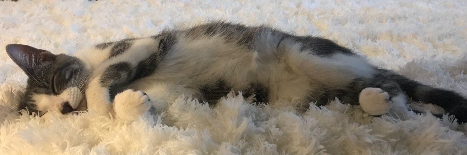 cheyenneely98's profile banner image