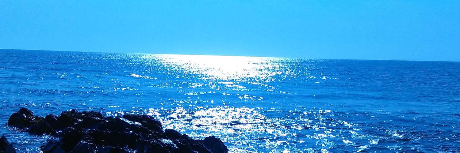 HellsbellsWex's profile banner image
