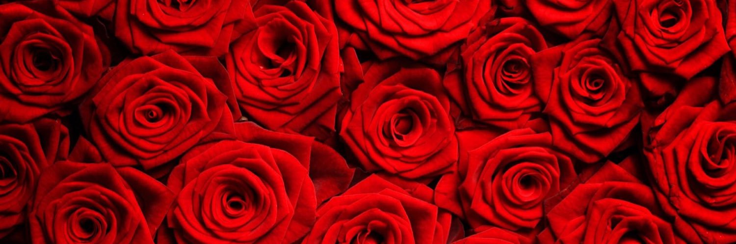 lidia_prb's profile banner image
