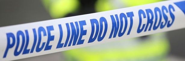 Insp Gadgets Dog banner