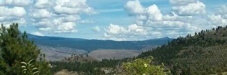 DOUMENC GENEVIEVE banner