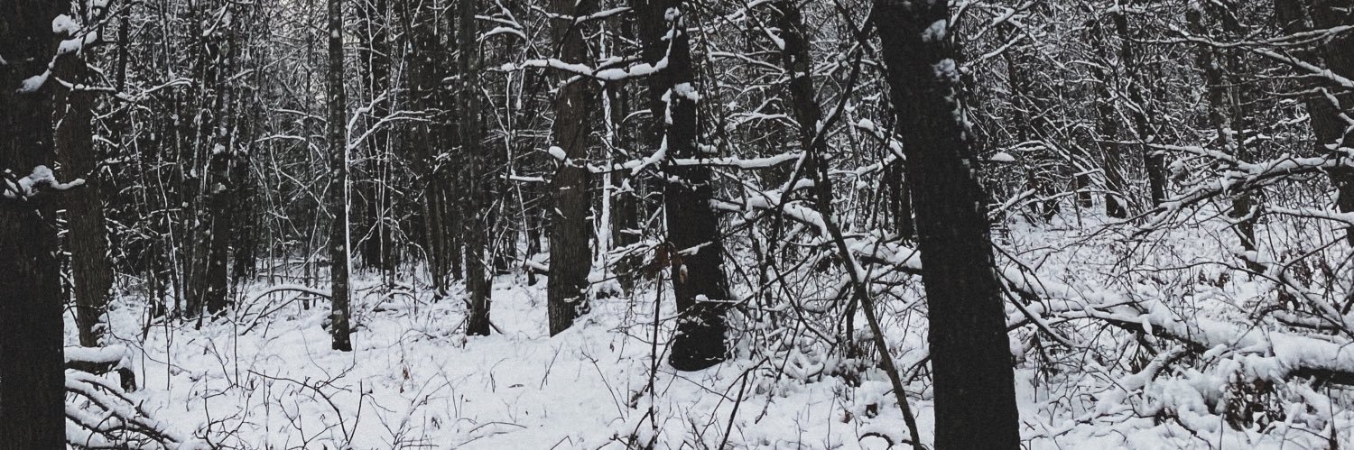 kokorisg's profile banner image