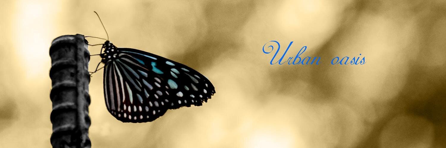 KyubLd's profile banner image