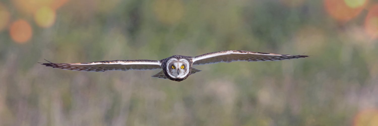 Wayne + Lauren banner