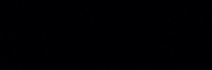 nilhou's profile banner image