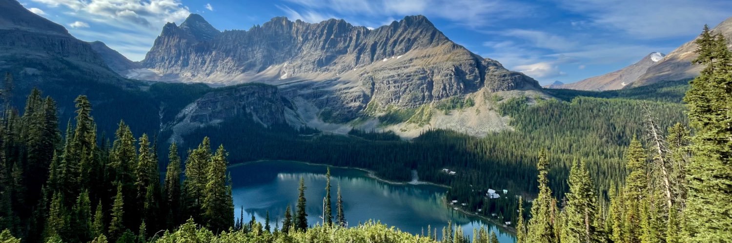 Kristin Maletsky MD, MSEd banner