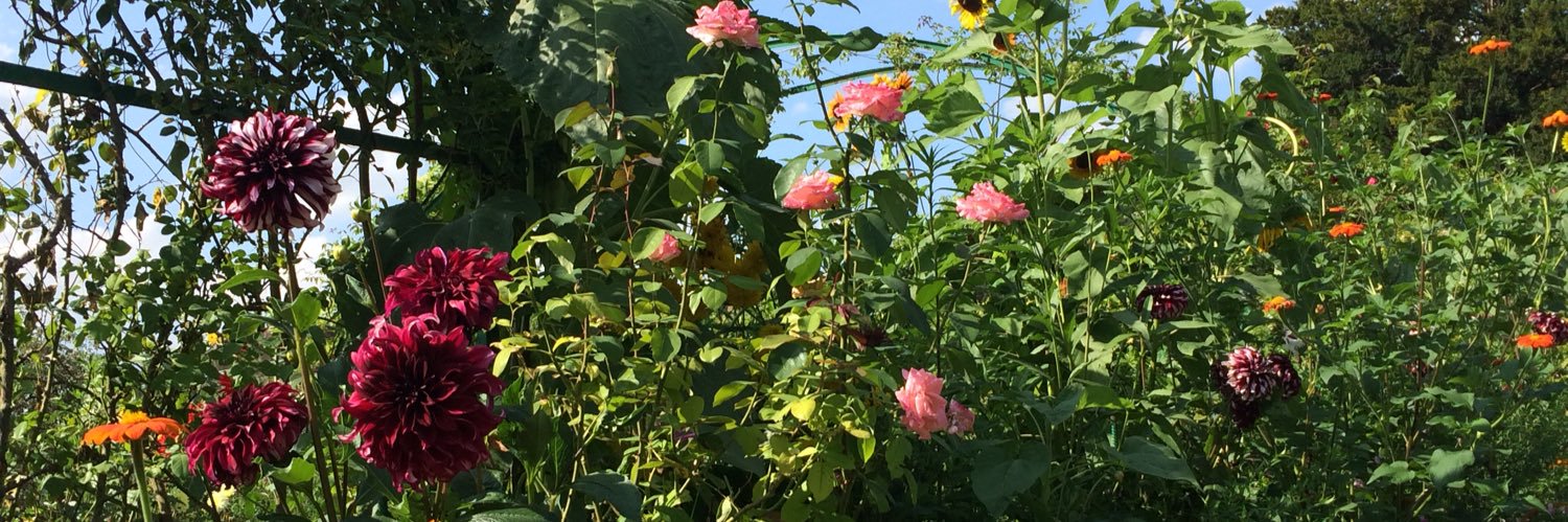 Ashley_Rdm's profile banner image