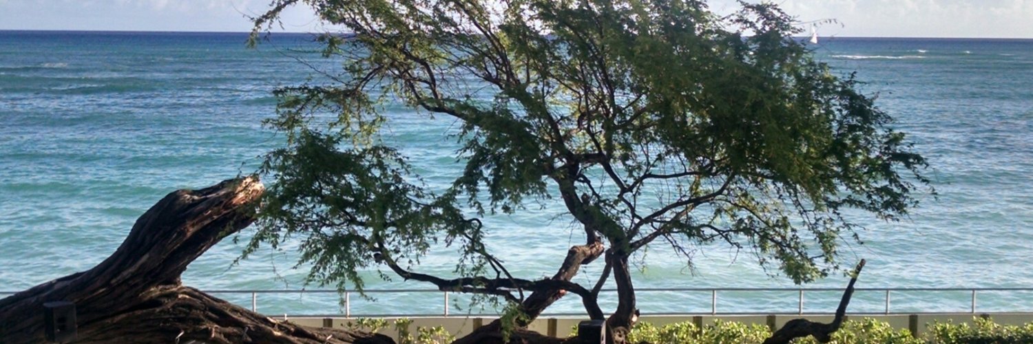 Jeanne Moeller banner