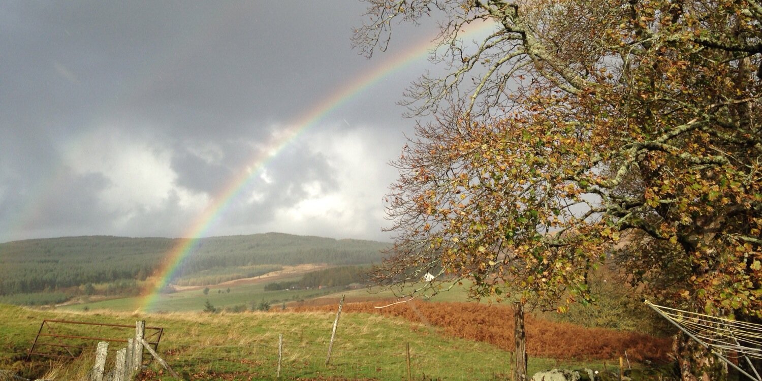 Barbara-Anne Robertson (she/her/hers) banner