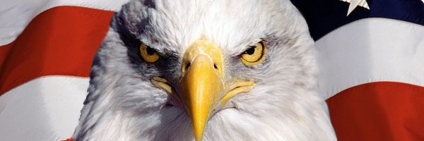 ConfuzedDEM Profile Banner