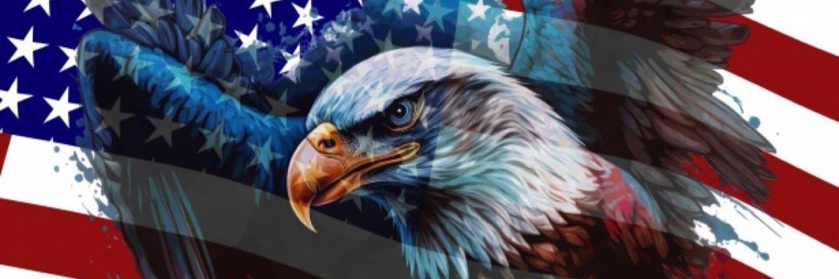 ConfuzedDEMOCRAT banner