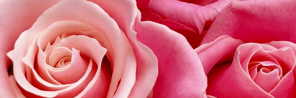 esthe_be_rose's profile banner image