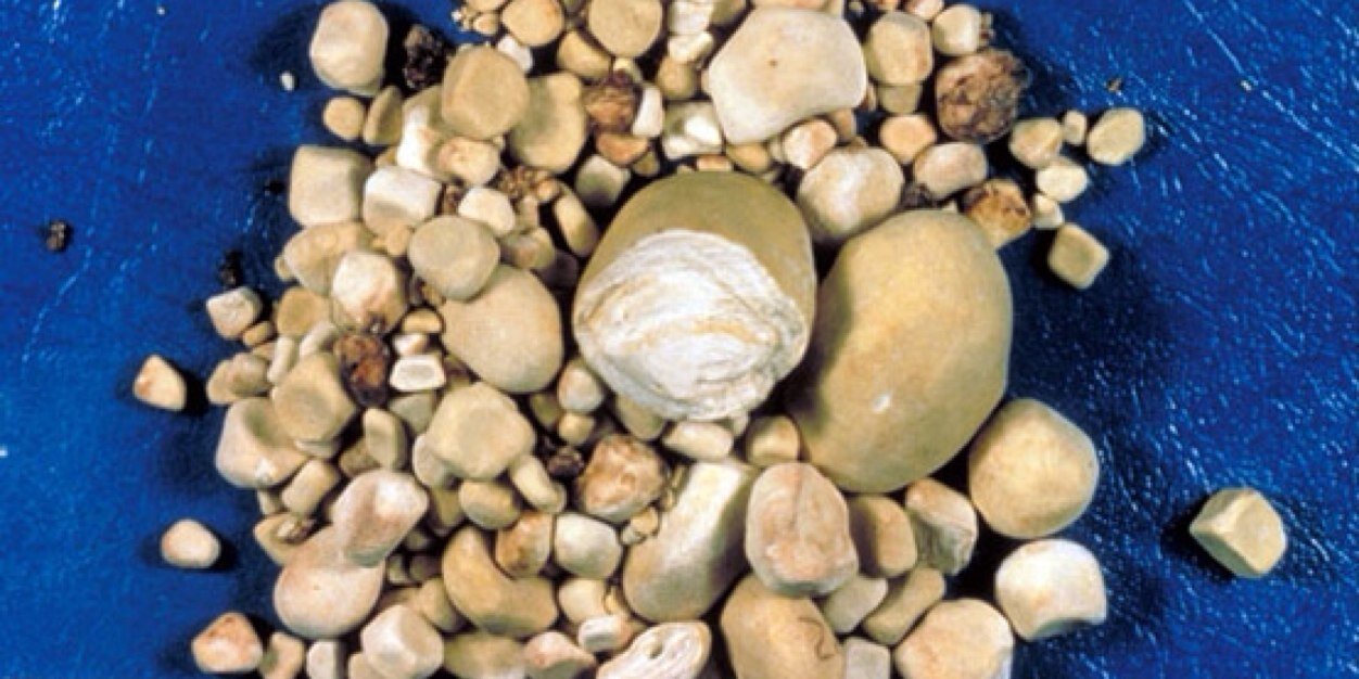STONE_niersteen's profile banner image