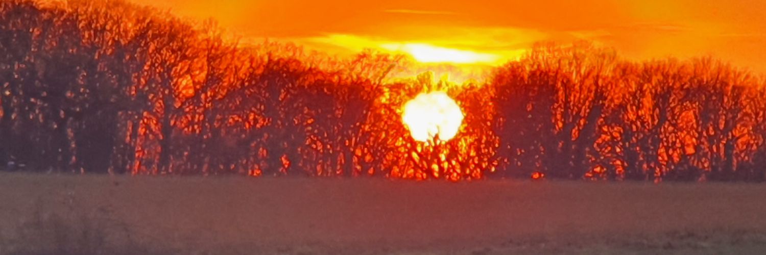 michaellaeuft's profile banner image