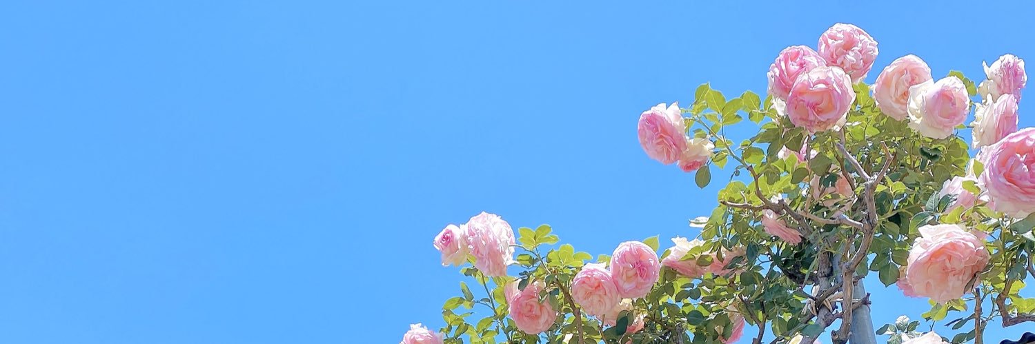 mayachon's profile banner image