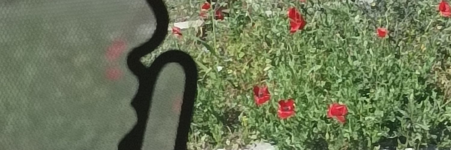 Chiara Fiorelli banner