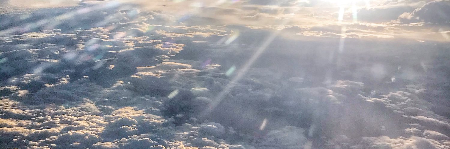 quernci's profile banner image