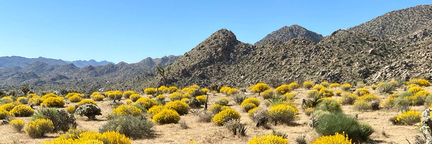 Mojave Desert Land Trust Profile Banner
