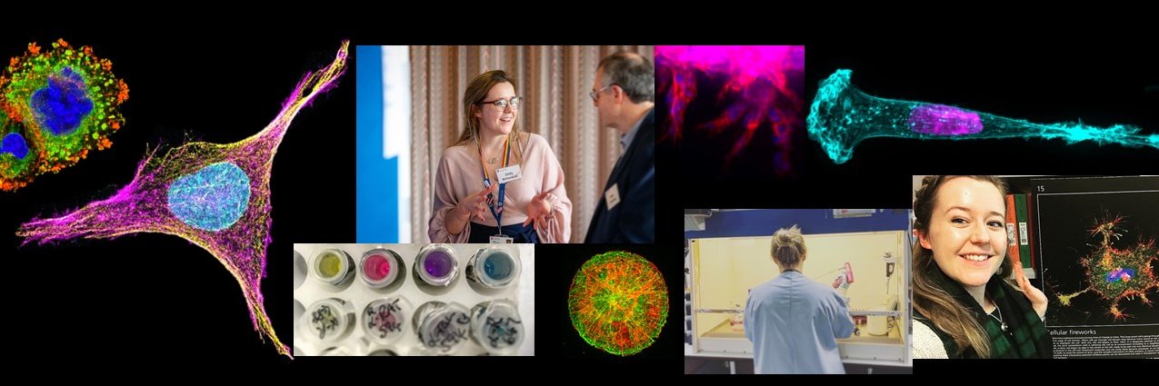 Emily Richardson banner