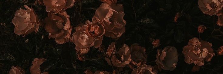 yitsken's profile banner image