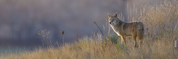 smactherapy Profile Banner