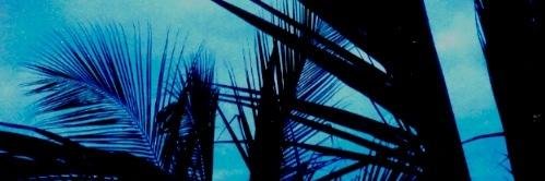 nayabrbgdr's profile banner image