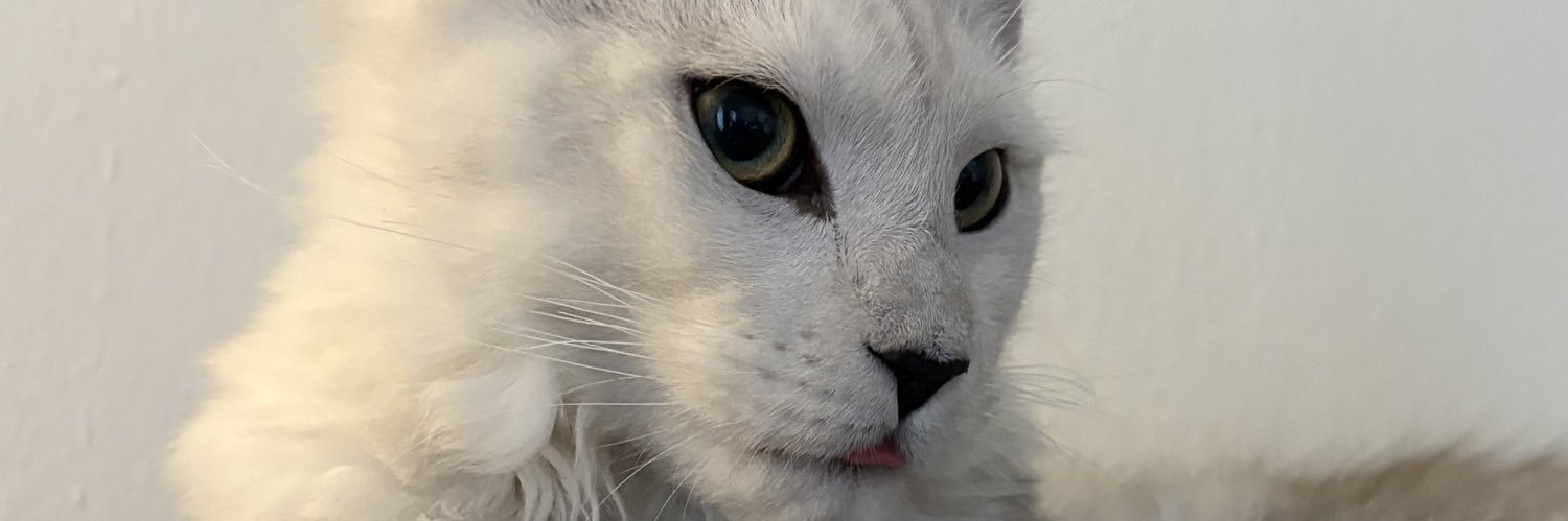 clairedudeee's profile banner image
