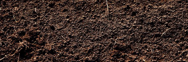 _deathplus Profile Banner