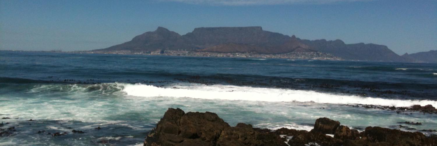 Ali O. Tepeciklioğlu banner