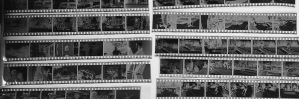 royolone Profile Banner