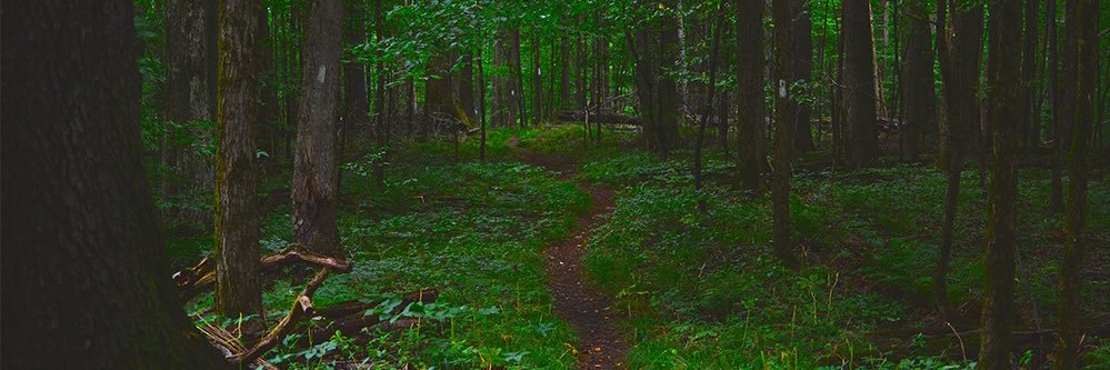 AScarlet_Misfit's profile banner image
