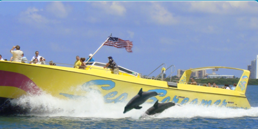 Sea_Screamer's profile banner image