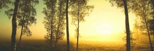 Carlos_J48's profile banner image