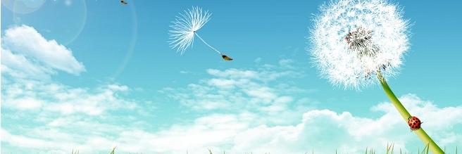 Dayance's profile banner image