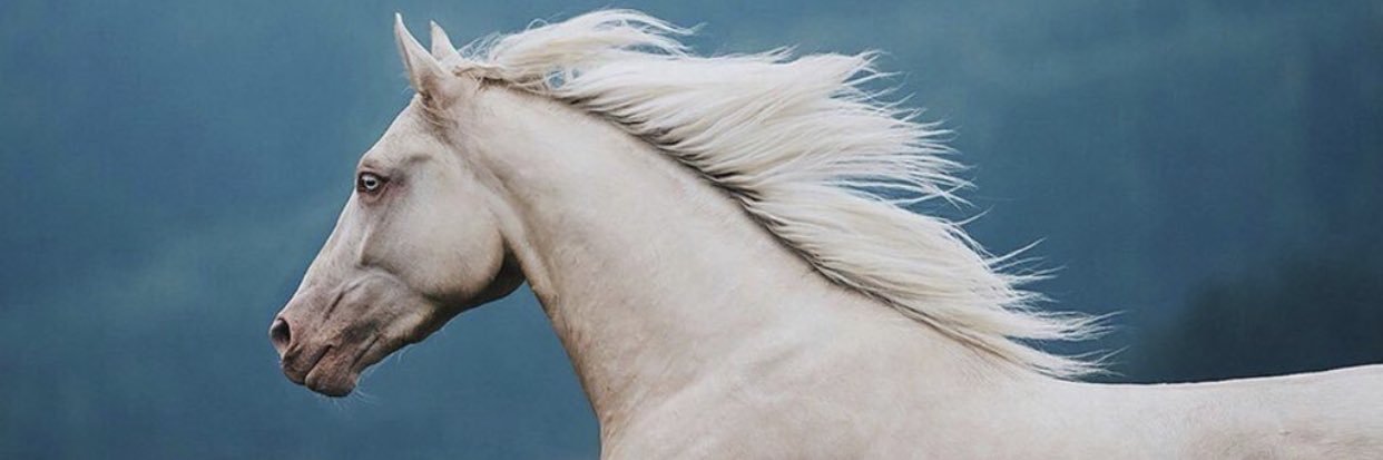 rematy77's profile banner image
