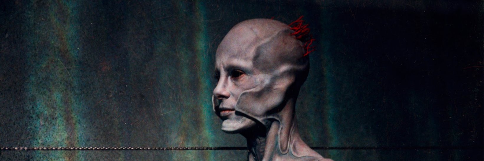 Metalheadlml's profile banner image