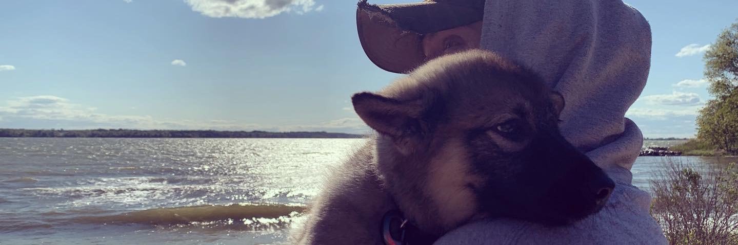 emmaaraphael's profile banner image