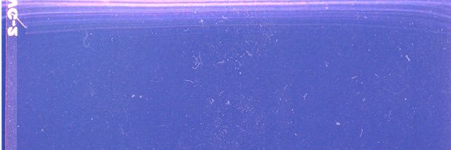JesseLeSommer's profile banner image