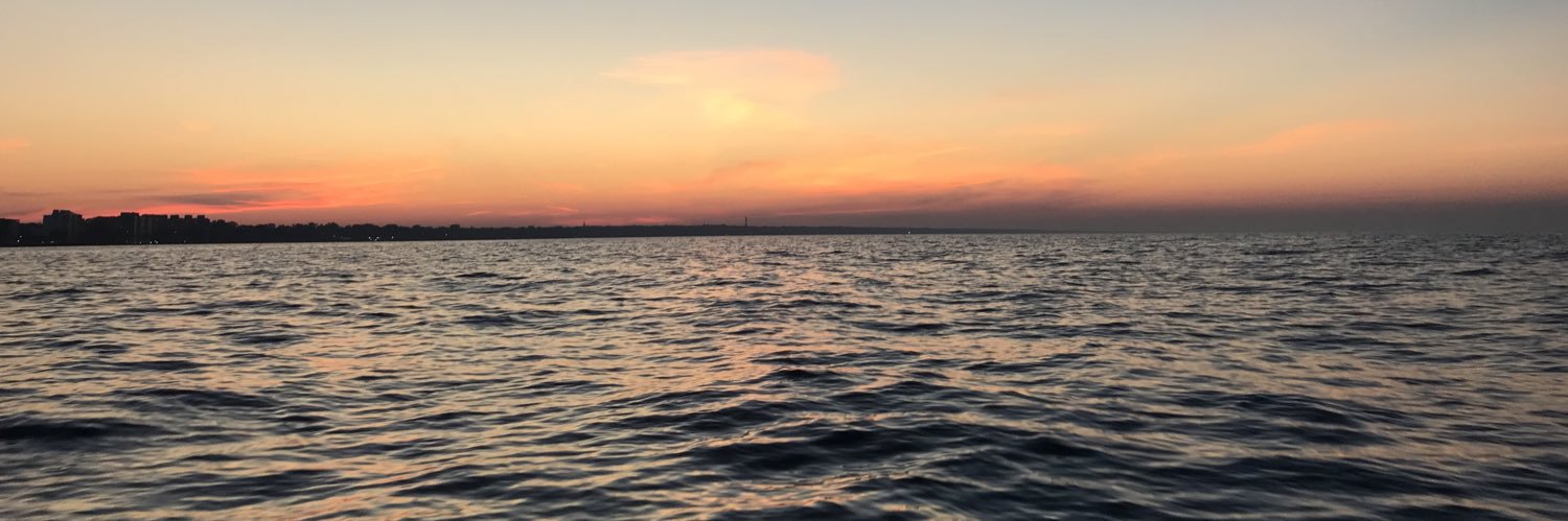 Ryan Heisinger banner