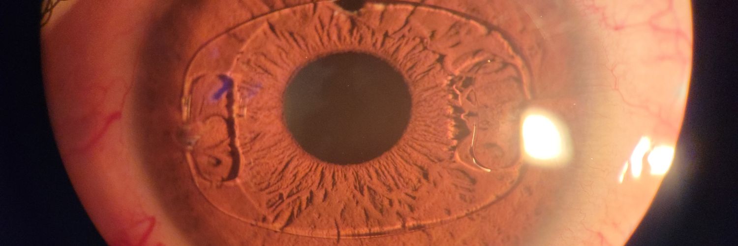 Marycruz👁👁 🦫 banner