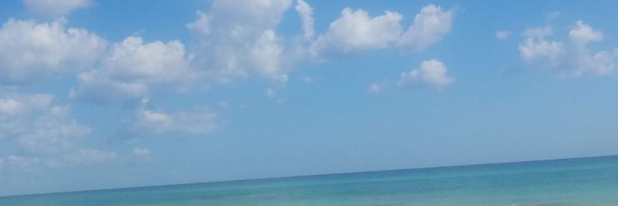antonioj_m's profile banner image