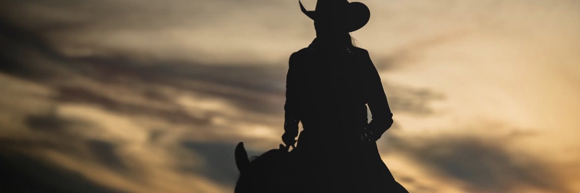 AlliThorson's profile banner image