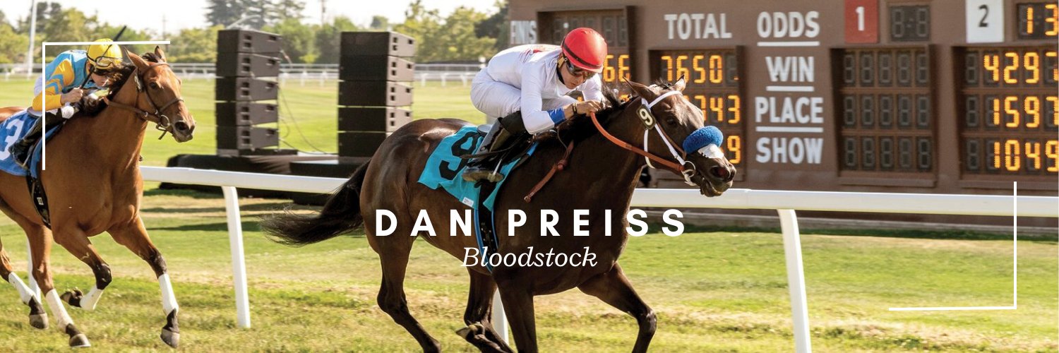 Dan Preiss banner