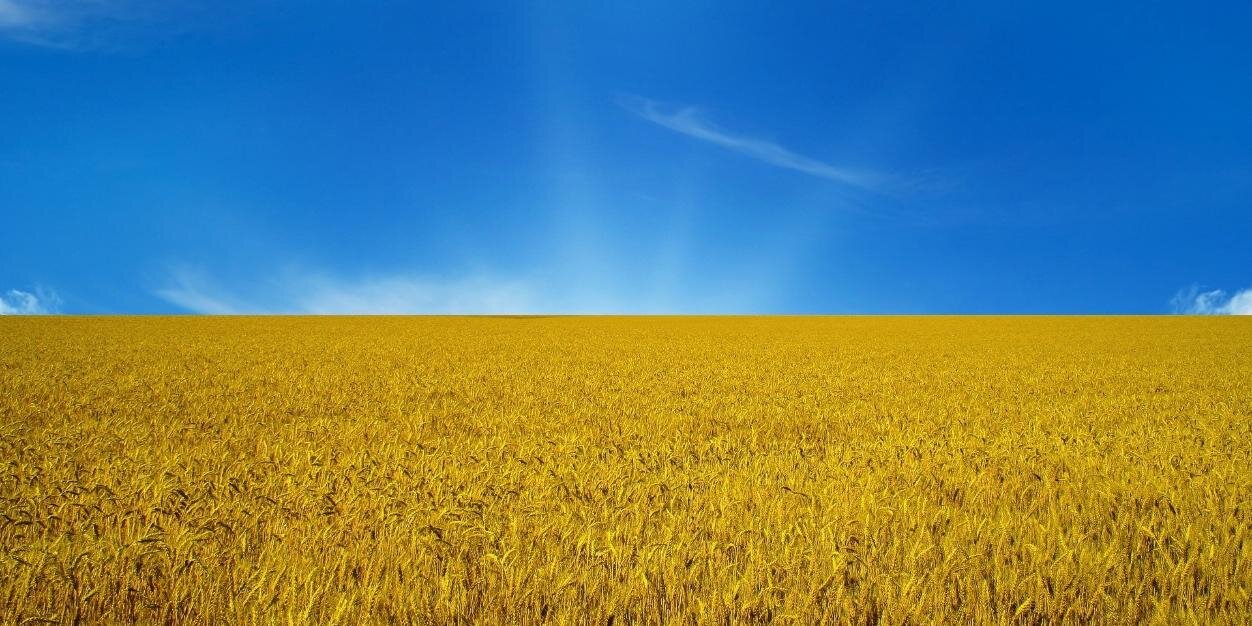 weUkraine's profile banner image