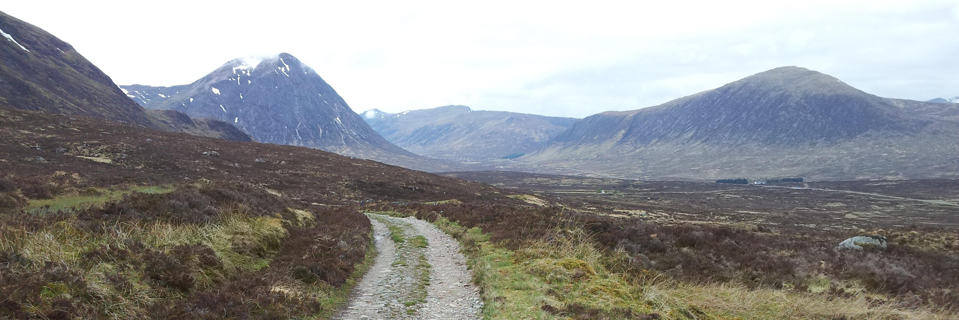 allym1877's profile banner image