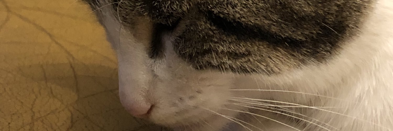 Michelle L-Jones banner