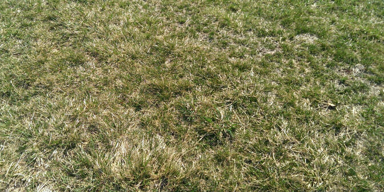 brentdaniel115's profile banner image
