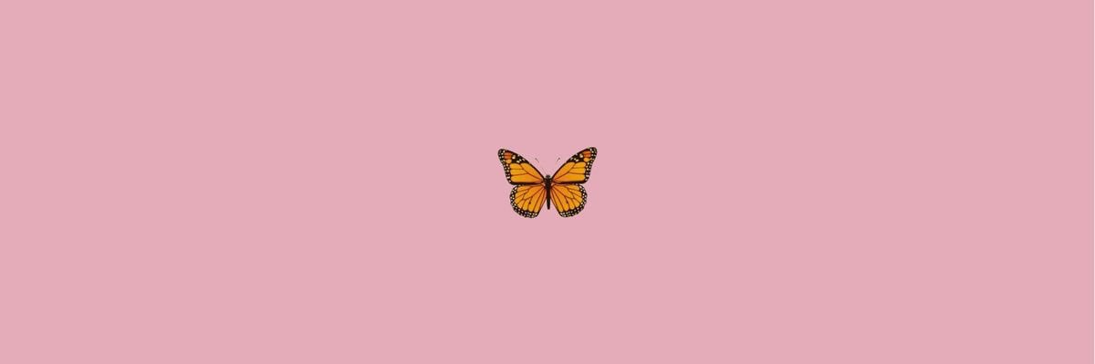 Taylluh's profile banner image