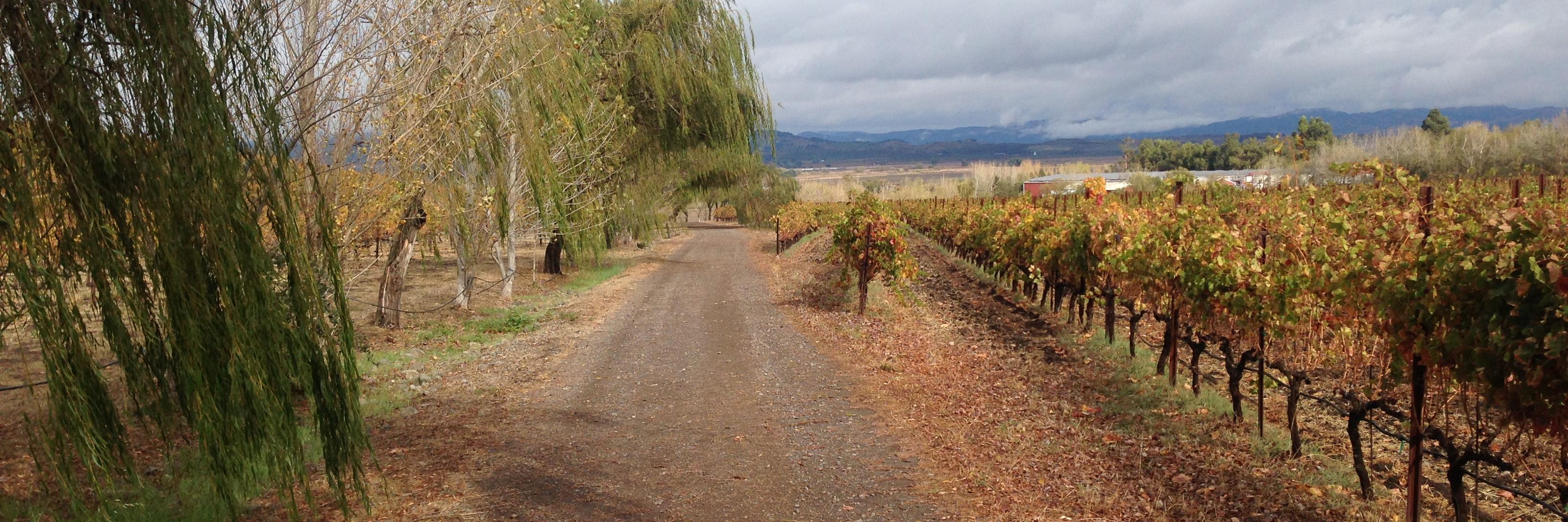 Jim Caroompas banner