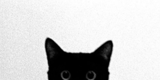 lukedangdr2's profile banner image